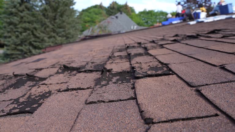 Best Roof Coating and Sealing  in Soddy Daisy, TN